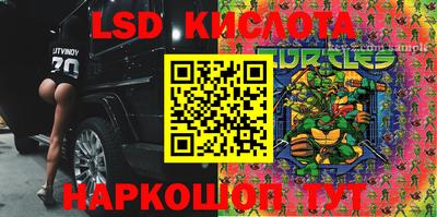 индика Гусь-Хрустальный