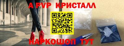 индика Гусь-Хрустальный