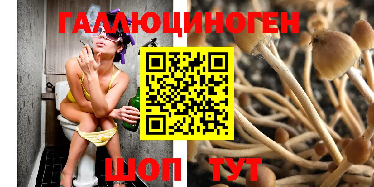 Галлюциногенные грибы прущие грибы Ивантеевка