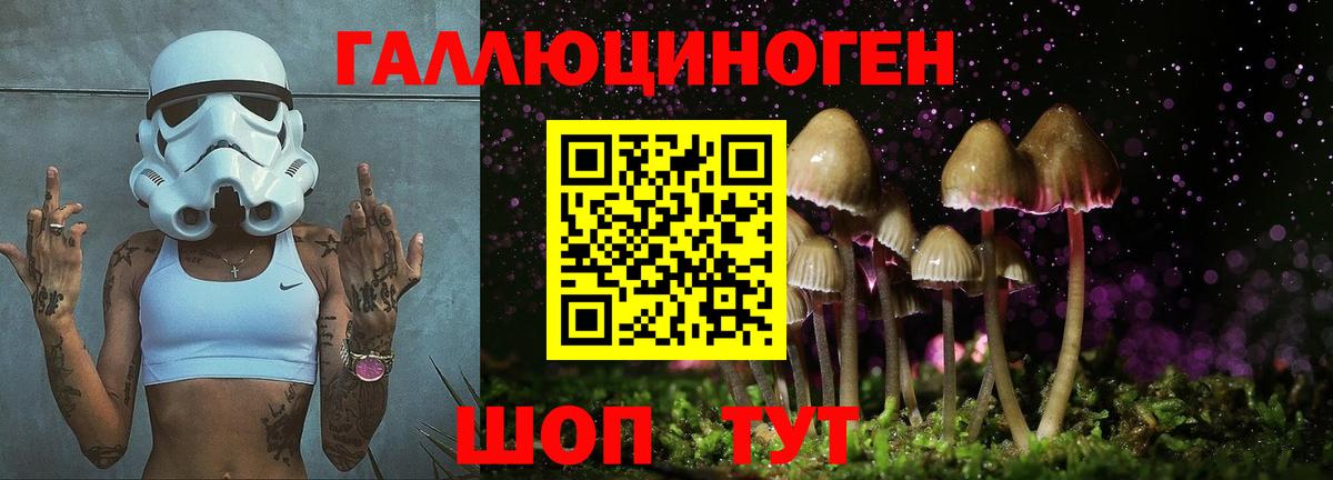 даркнет сайт  Ивантеевка  Псилоцибиновые грибы мицелий 